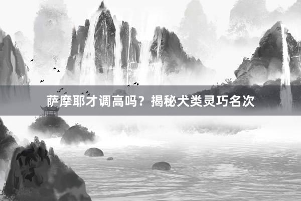 萨摩耶才调高吗?揭秘犬类灵巧名次